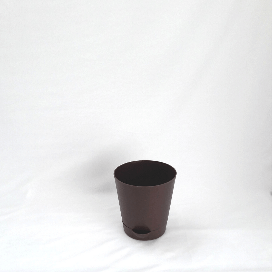 Gardenista Self-Watering Pot- 5 Inches Dark Brown (Set of 2)