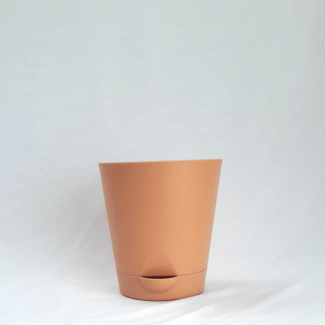 Gardenista Self-Watering Pot- 5 Inches Light Brown (Set of 2)