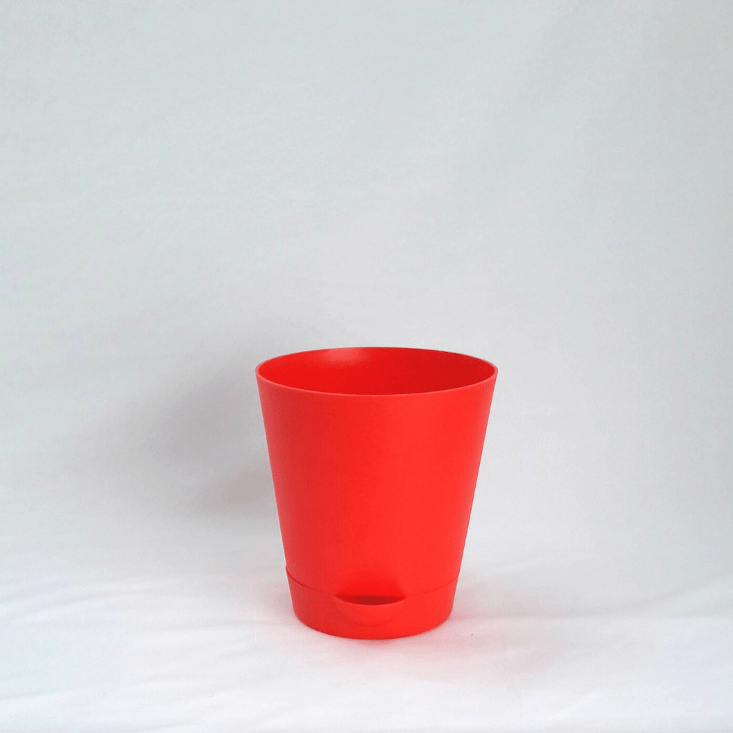 Gardenista Self-Watering Pot- 5 Inches Red (Set of 2)