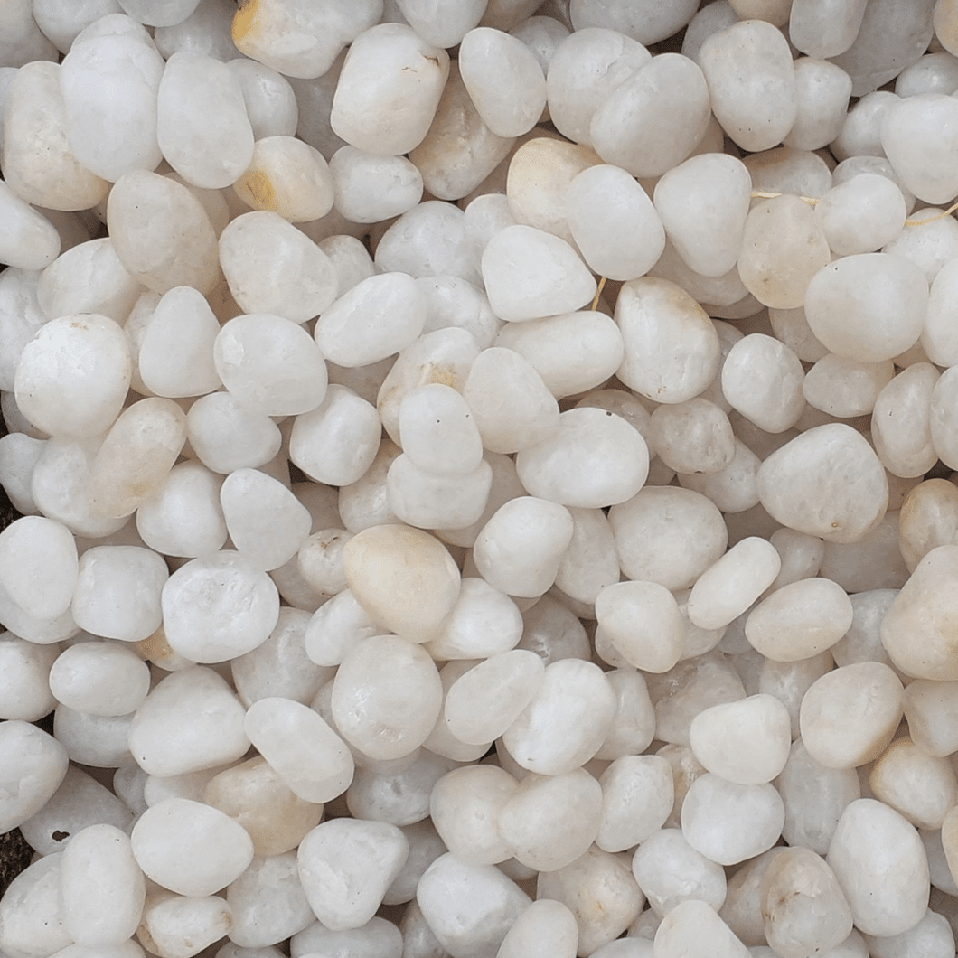 Unpolished White Pebbles- Medium 1 kg
