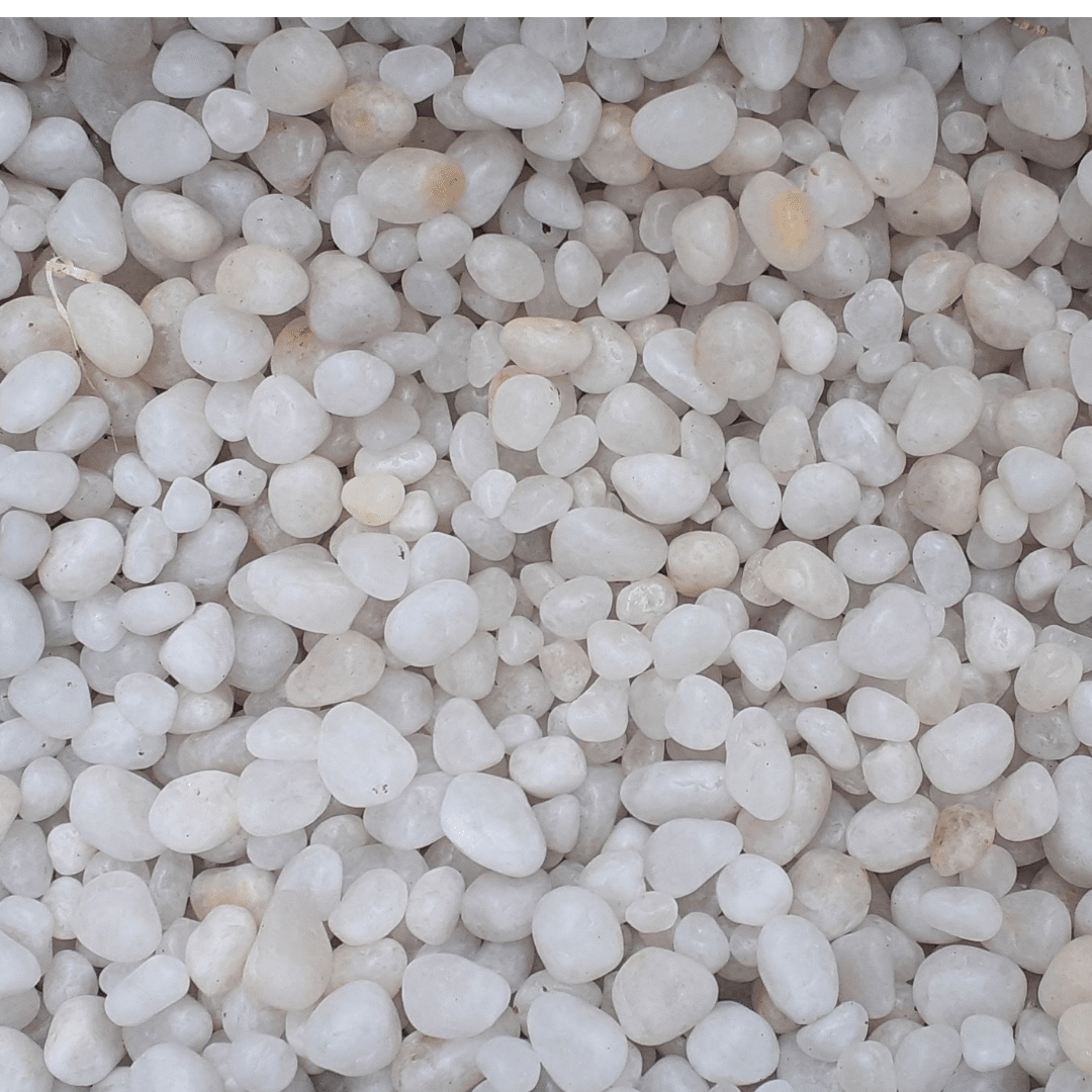 Unpolished White Pebbles- Small 1 kg – Gardenista